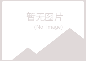 兰山区冰彤机械有限公司